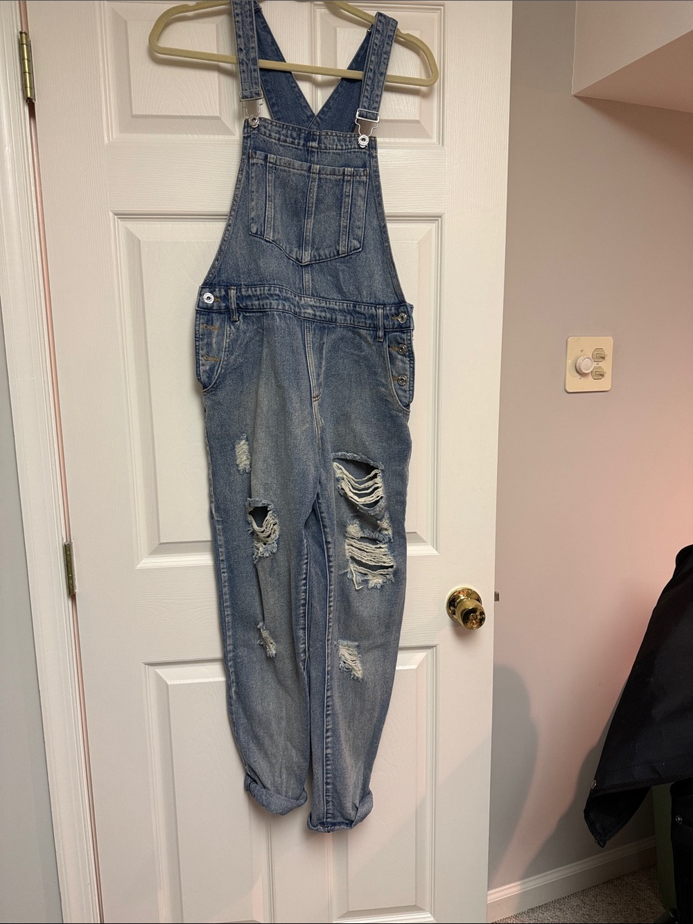 Wild Honey Distressed Blue Denim Overalls
